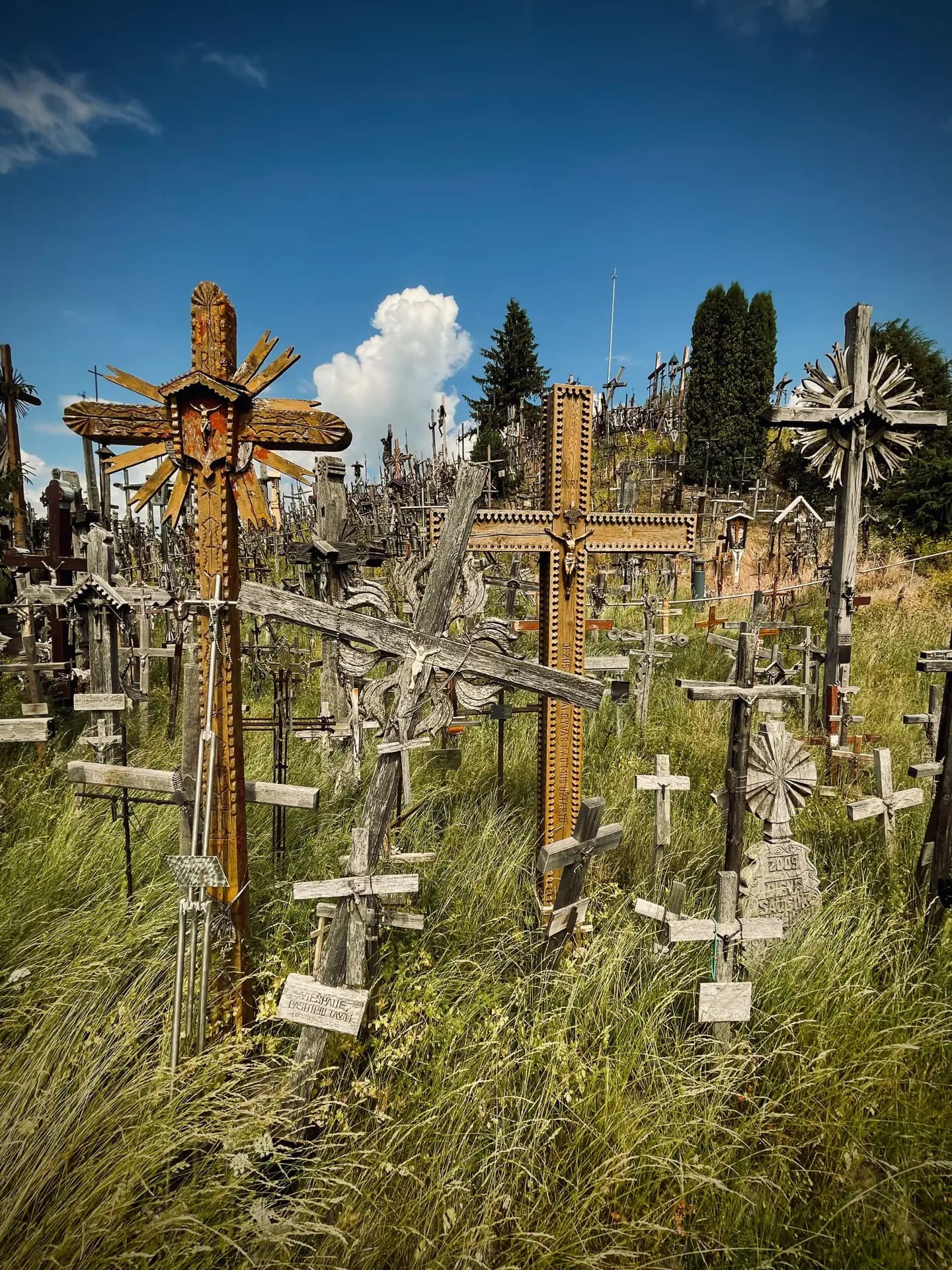 Hill of Crosses Day Trip - 10