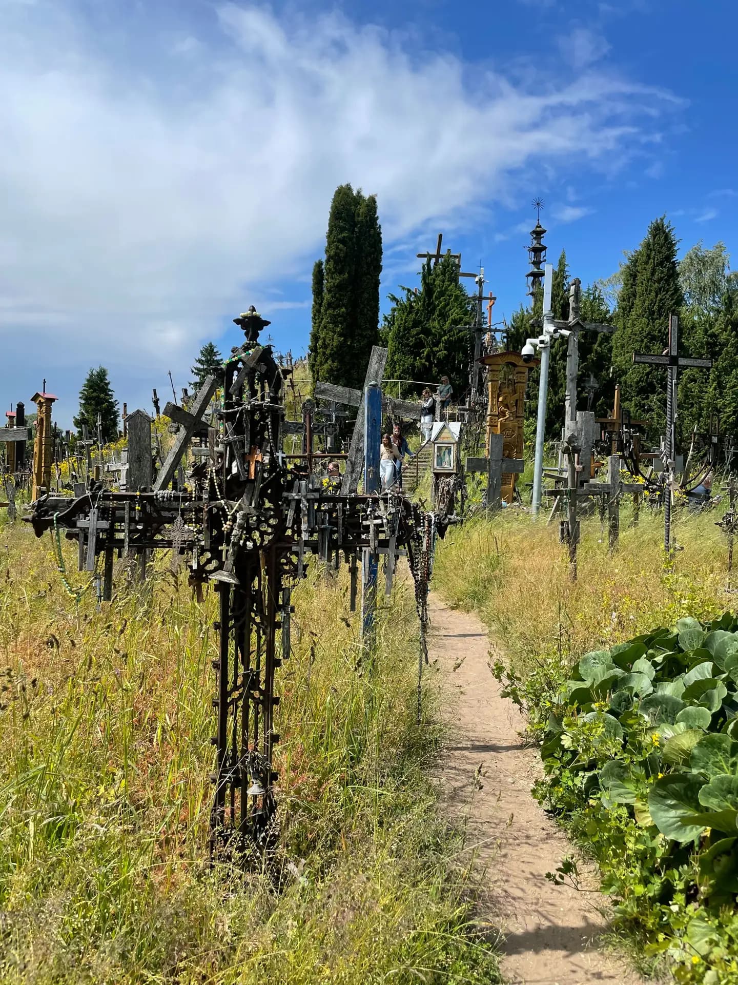 Hill of Crosses Day Trip - 4